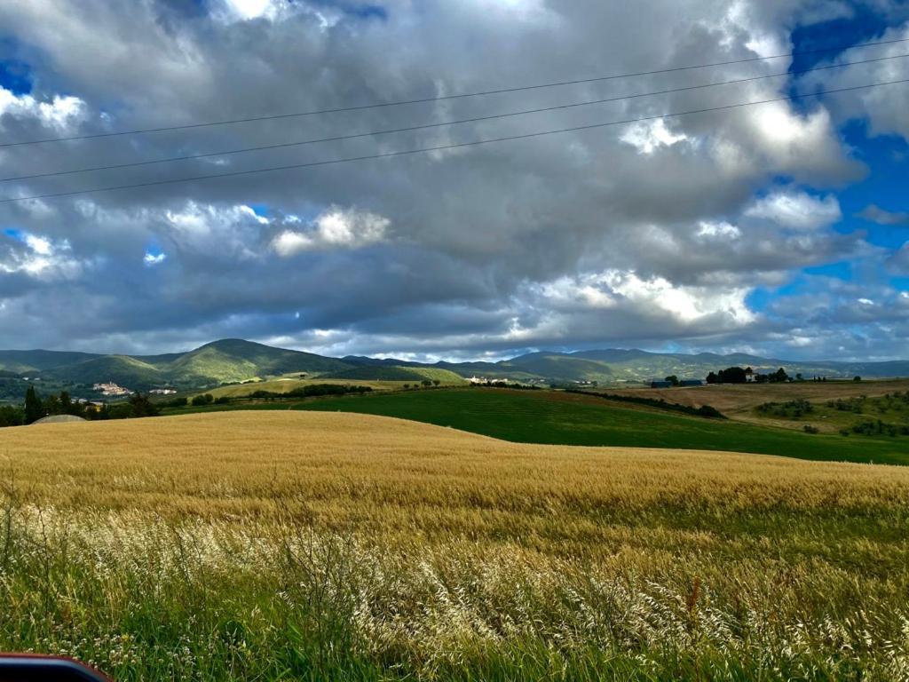 Podere Il Mulino Pieve di Santa Luce Екстериор снимка