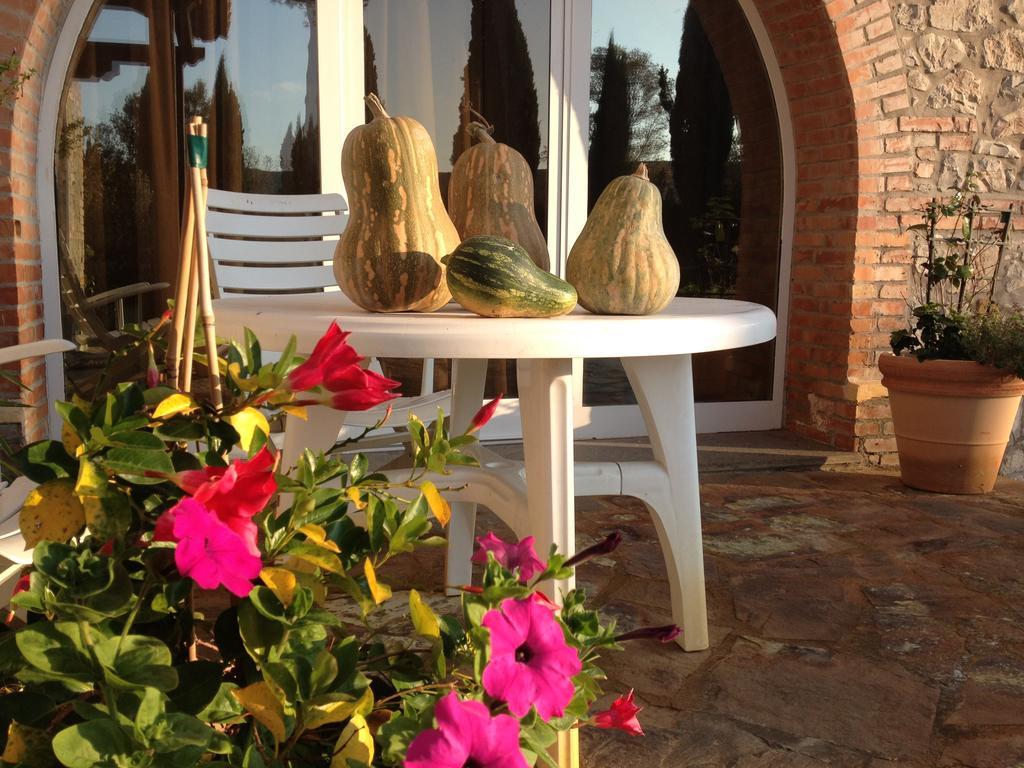 Podere Il Mulino Pieve di Santa Luce Екстериор снимка