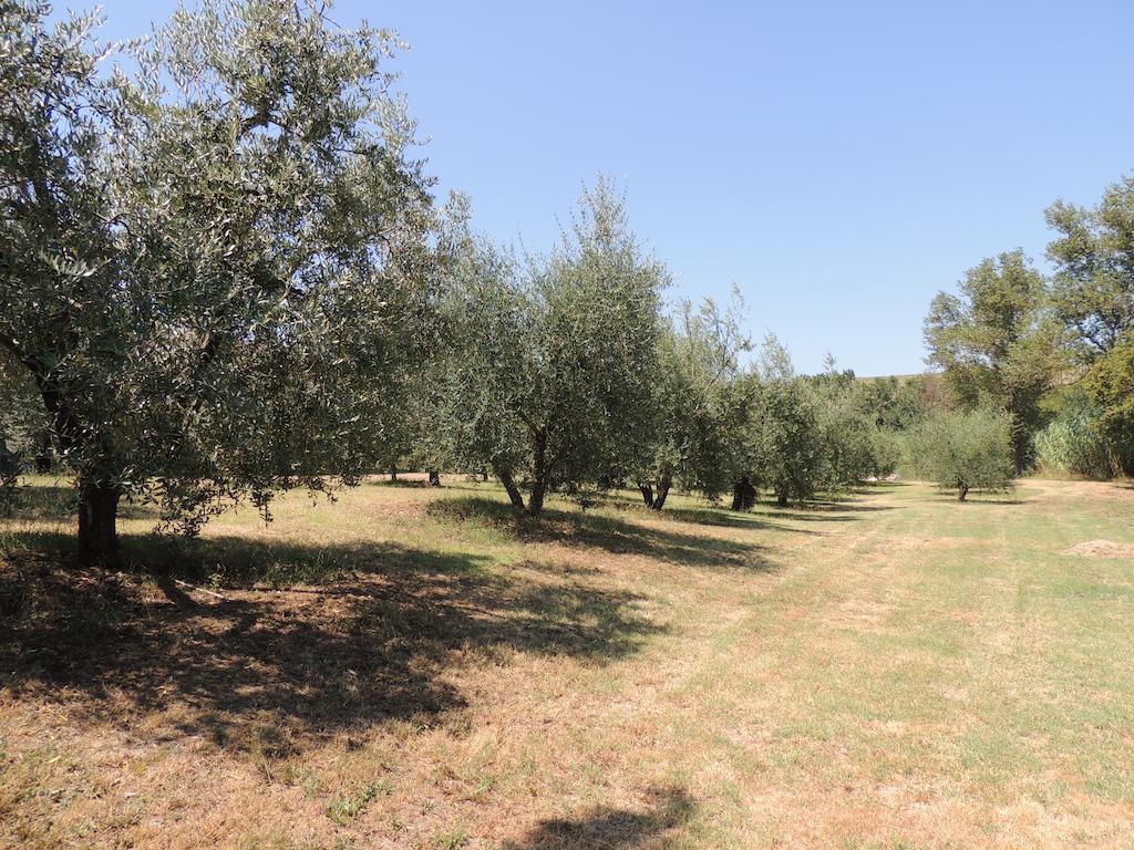Podere Il Mulino Pieve di Santa Luce Екстериор снимка