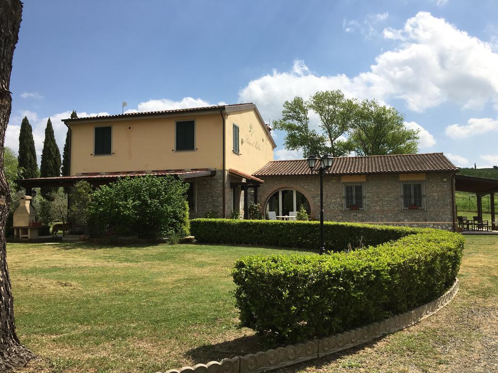 Podere Il Mulino Pieve di Santa Luce Екстериор снимка